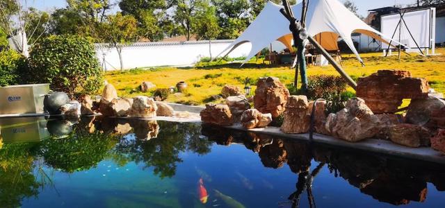 奔“县”山东！这里是黄河入海 大美垦利