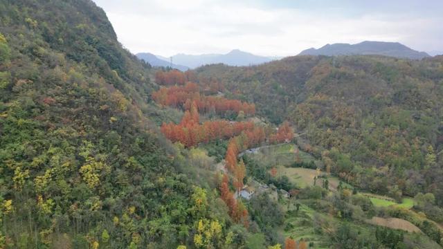 初冬时节红石梁迎来最美打卡季
