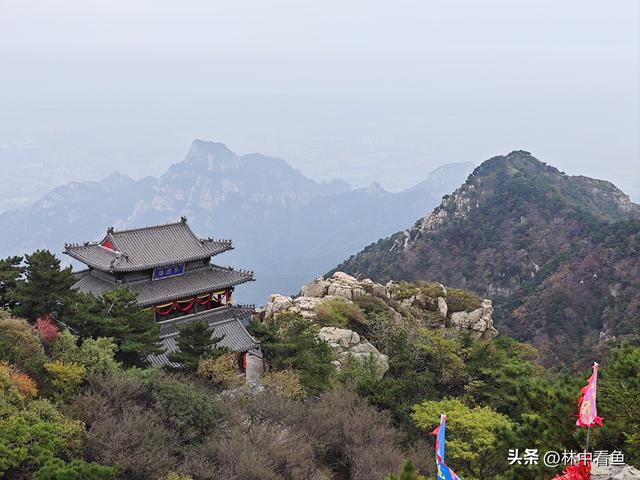 徒步登泰山之一——3小时从一天门到中天门