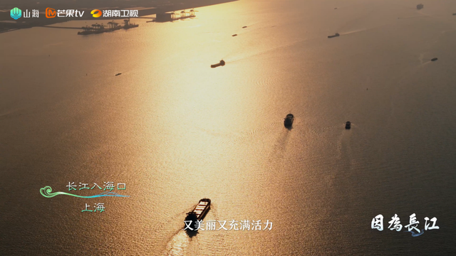 纪录片《因为长江》首集赋江篇开播：以江为脉，顺江而赋