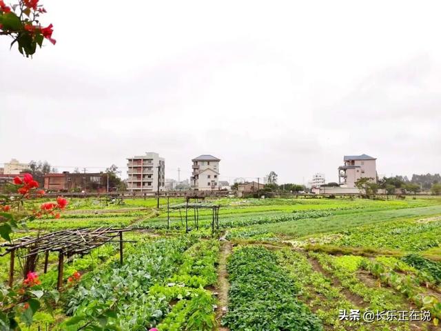 “神仙村落”！公园、温泉、氧吧、古宅......这处“后花园”美到心醉