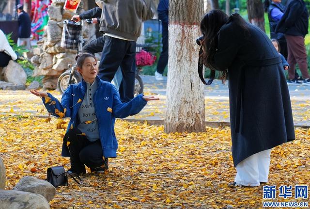 新华网 | 河南南阳：银杏美景吸引市民