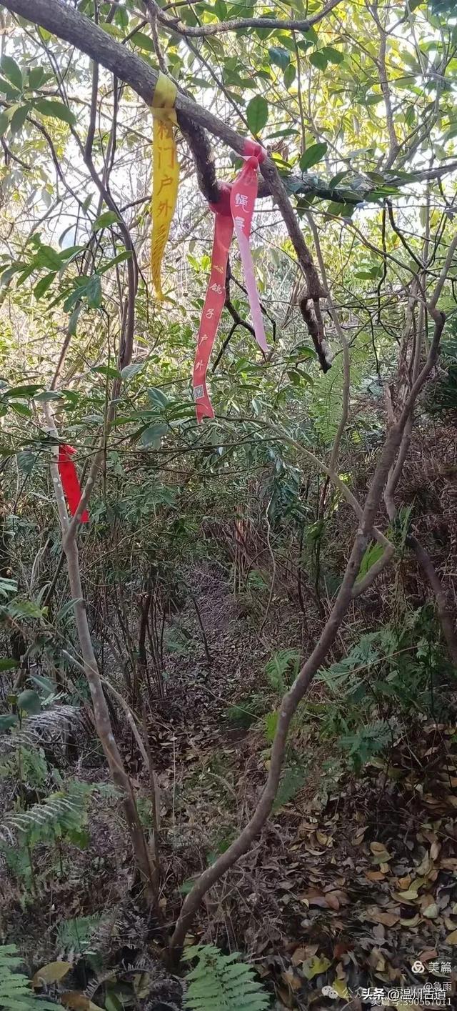 环浙步道上的小众穿越秘境,这条充满挑战的徒步环线你可去过?