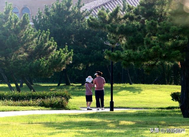 盛夏唐岛湾：一半是浪花激情，一半是树荫惬意