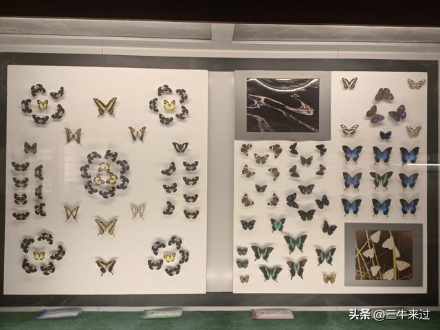 无为在歧路，国庆游淄博2