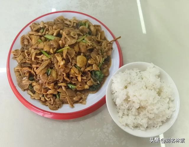 在阿尔山玩了两天,和大家聊聊真实感受,附两日游攻略