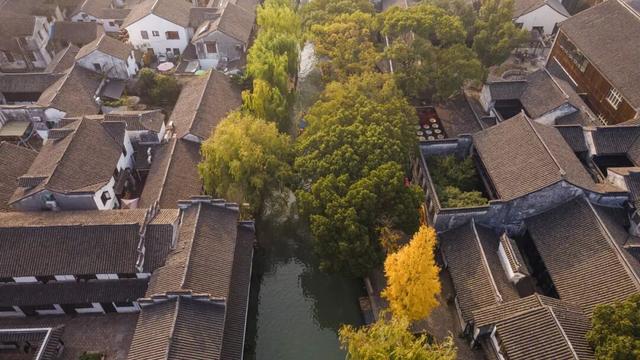 初冬周Walk丨暖洋洋，慢慢游