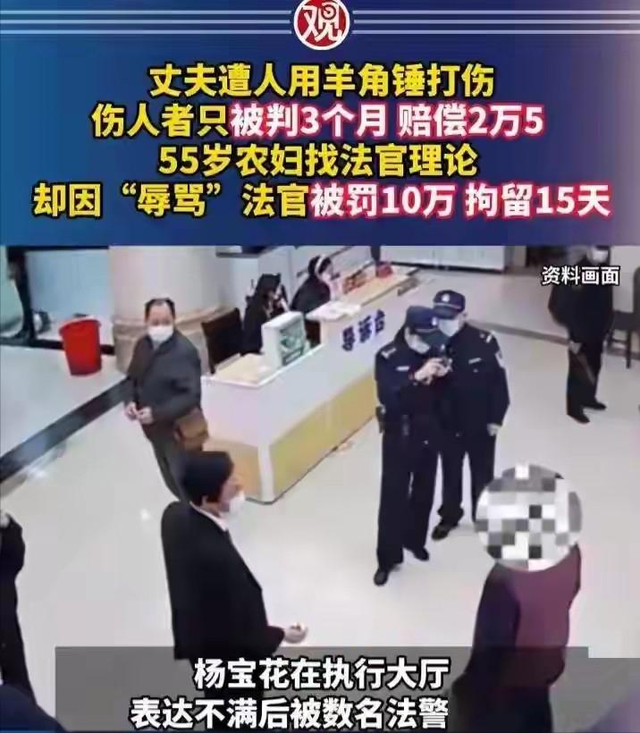 黑的你洗不白!央视点名的临沂农妇被罚10万案，不会反转再反转