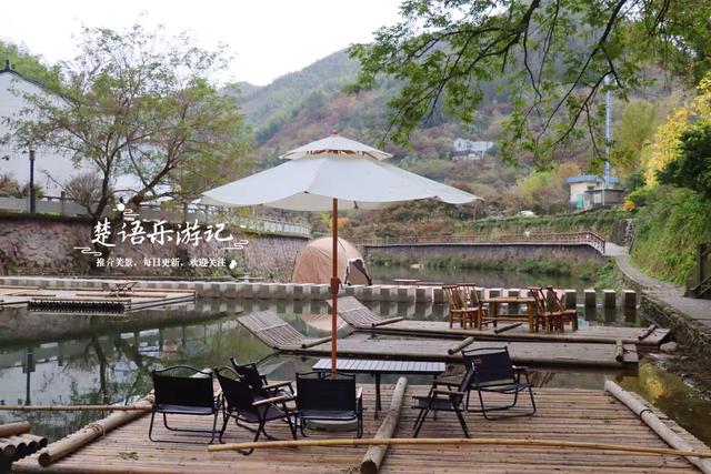 宁波余姚的夫妻银杏又火了，树边的溪上休闲空间超美，好拍又好玩