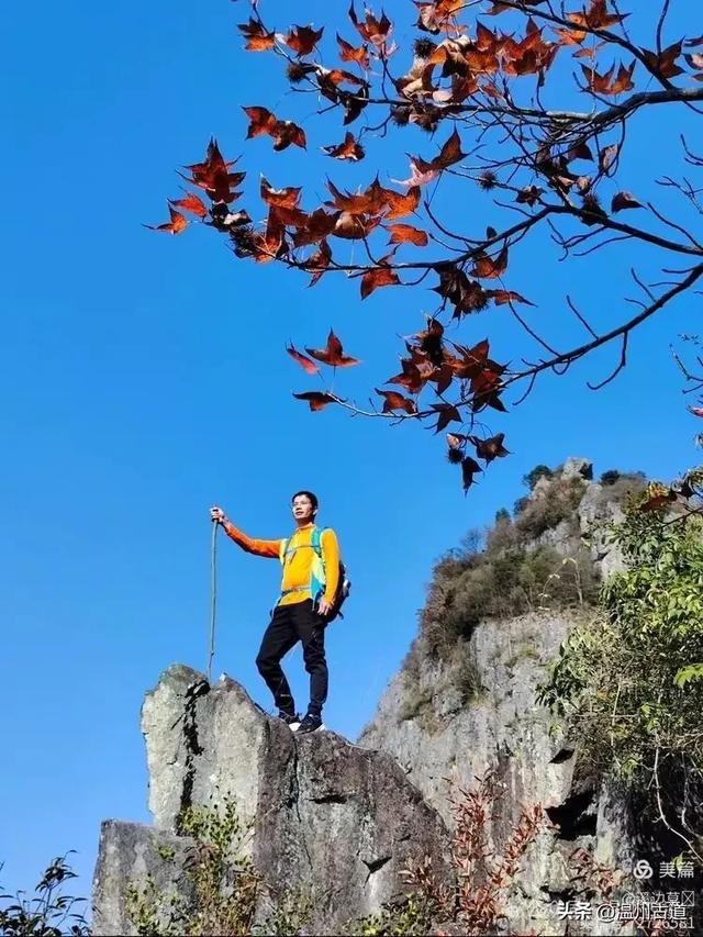 约吗？温州此处枫叶已渐红，这周末将进入赏红叶佳期！