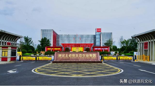 孙荣刚的散文‖三峡橘醋：荆楚大地的健康传奇