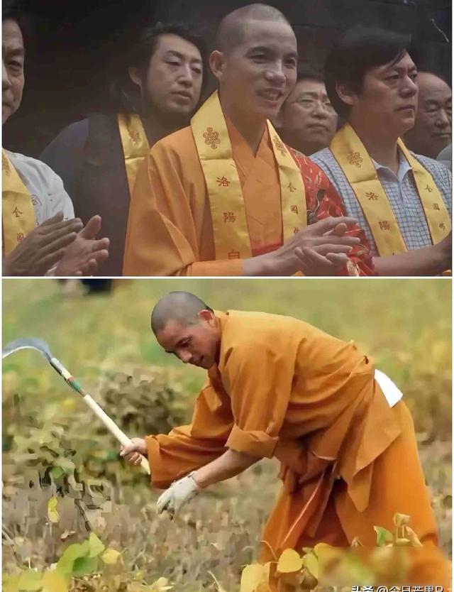 少林寺“大逃亡”！30多名和尚连夜跑路，新方丈三把火烧出大动静