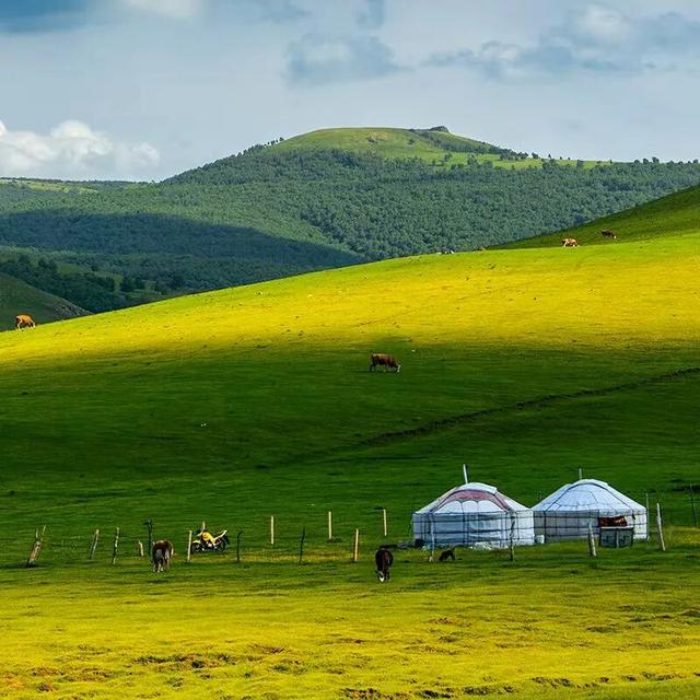 燕南赵北‖光影草原