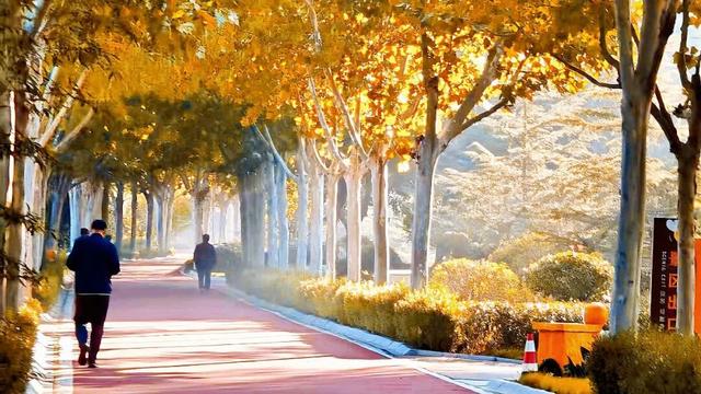 即刻出发！这个宝藏乐园迎来一年中最美时节！