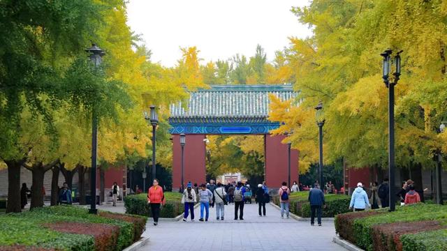 看东城，一路繁花，四季幻彩！