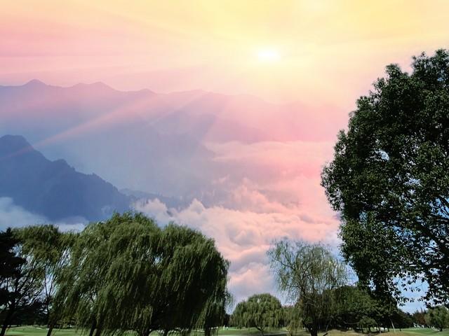 人到中年，最怕的不是失败	，是忽然看清自己