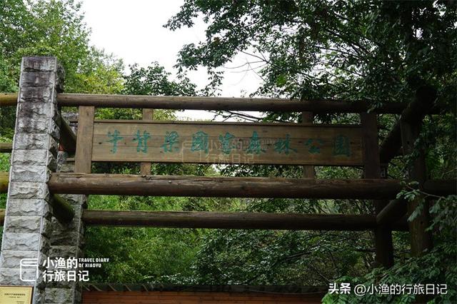 绝了！西安1h直达的秦岭“仙境”，这才是被低估的山水天花板！