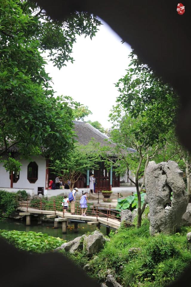只在怡园：与一棵百年石榴的秋日邂逅