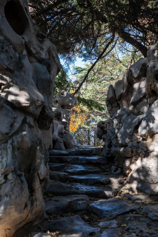 周末好去处丨免费打山泉水！烟台这条徒步秘境火了