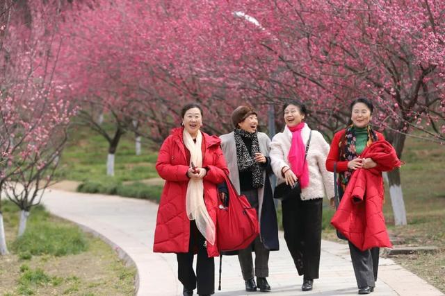 三八节的黄河公园上村苑：花如海，人如潮，女神与春光共倾城