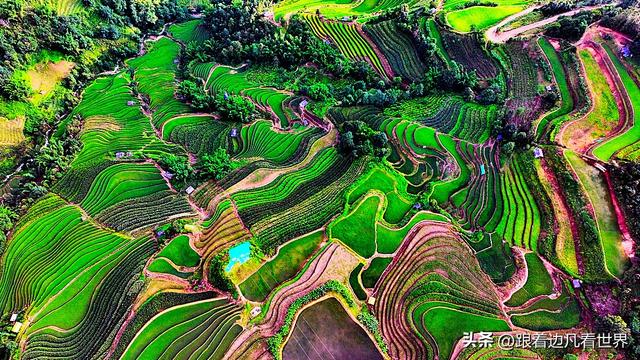 《西双版纳 澜沧行》左都佤山梯田云雾：天地间的水墨长卷