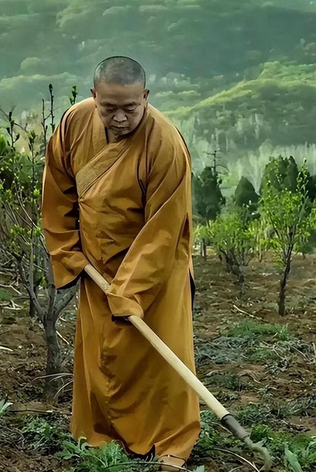 清算！释永信被查不到3天，再迎4大噩耗，16万袈裟只是冰山一角