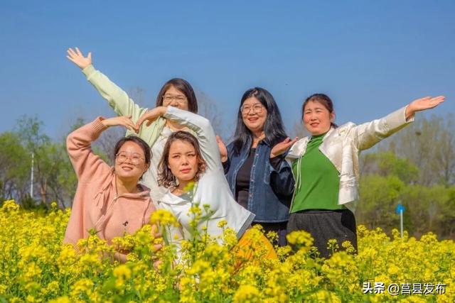莒县沭河公园油菜花迎来盛花期！