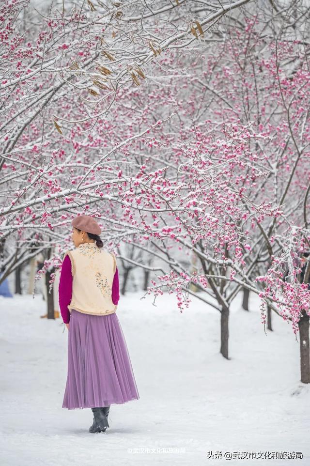 大雪今晚抵汉，有人先玩嗨了！
