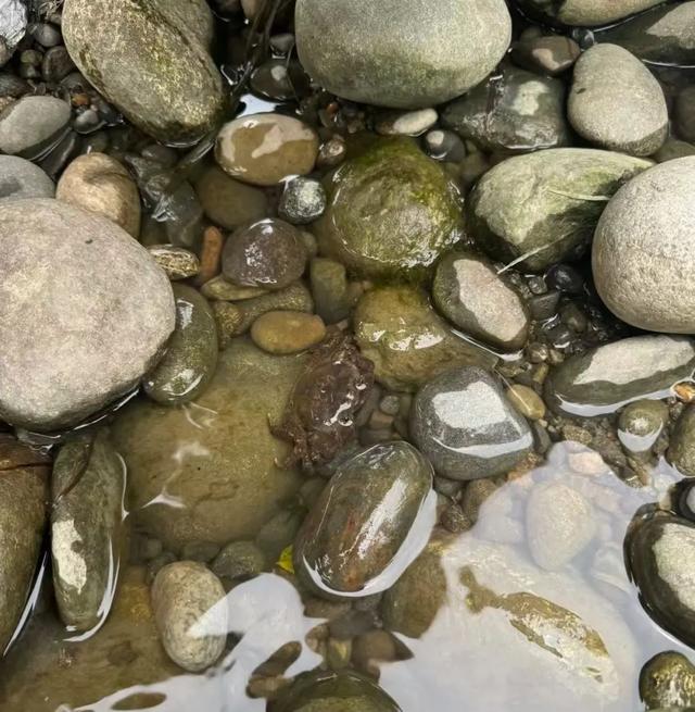 全免费！成都周边30min玩水抓螃蟹、露营野餐钓鱼烧烤！轻松安逸周末快冲！