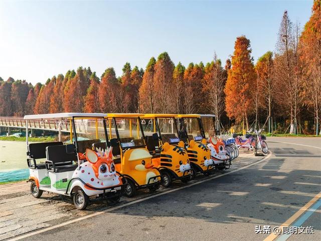 “红”爆！是谁还没有Get昆明的冬天？你知道12月的滇池有多绝？周末冲~