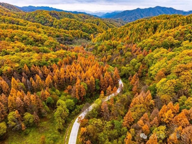 镜瞰秦州·悦秋