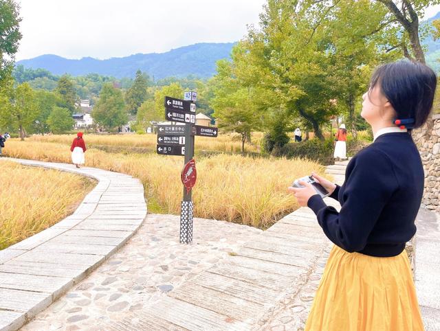 12位小红书博主挖到黄山秋日宝藏！9大私藏站点美到跺脚 | 皖美秋日