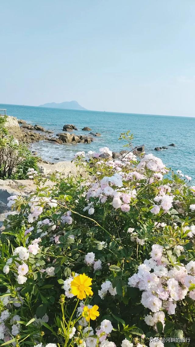 鱼鸣嘴,海阔天空