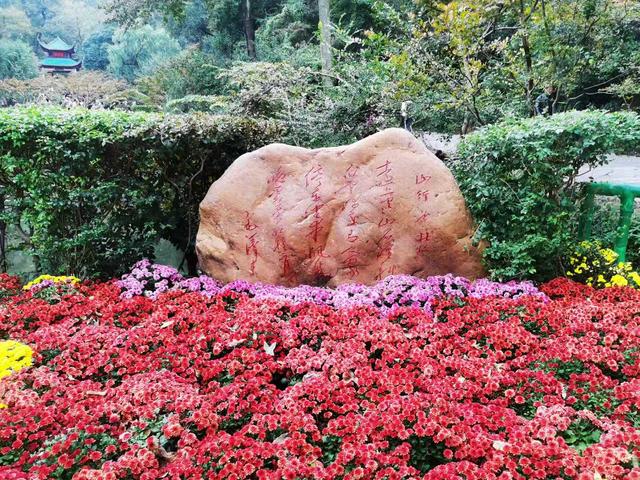 从爱晚亭捡来一枚红叶