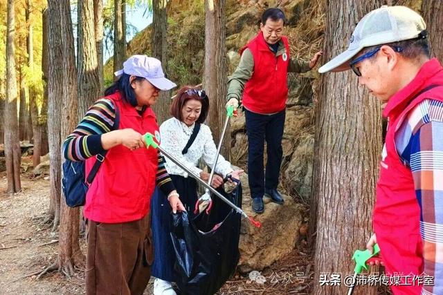 最美水杉林里志愿红