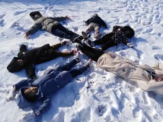 赫尔佐格 55 部神作藏狠活！编天使 + 企鹅奔死，真实看懵观众？