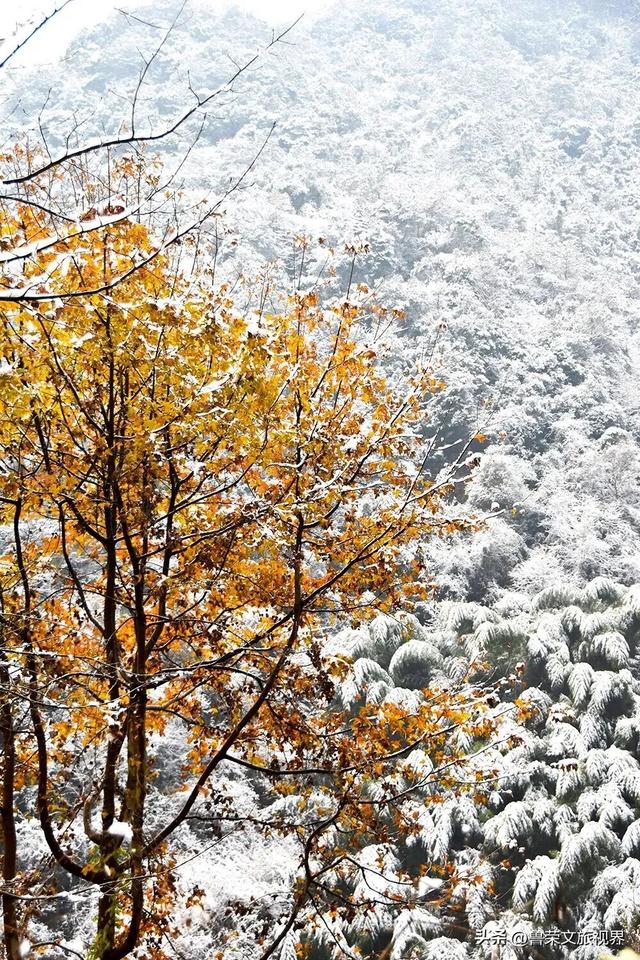 宁海：藏于宁波的宝藏小城，承包江南冬日的所有浪漫