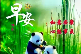 春意盎然，生机勃勃；鸟语花香，沁人心脾。4月11日最美祝福图图片