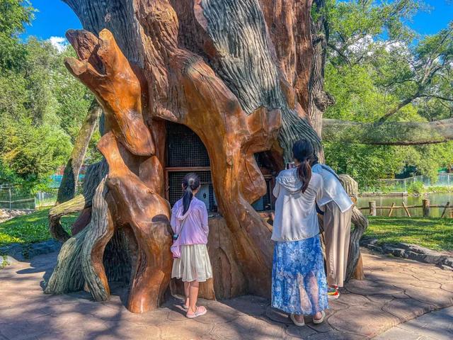 来太阳岛风景区，解锁惬意夏日，开启萌鼠之旅！