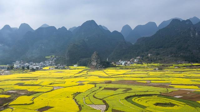 1月-3月赏花，春天适合去的10个赏花胜地，即将迎来盛花期