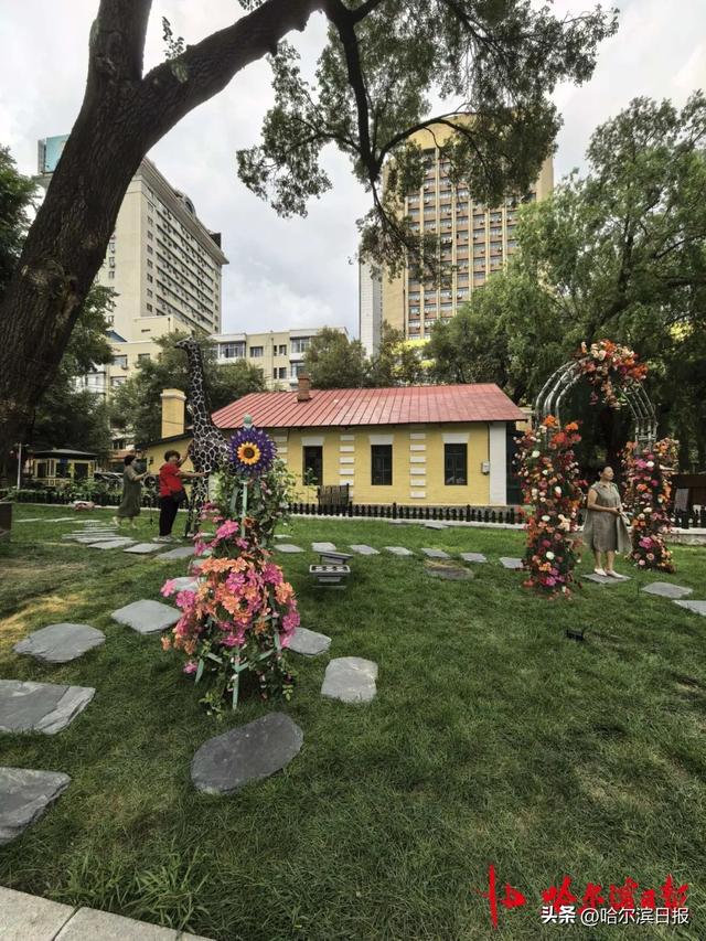 【花样“尔滨”】相约百年“黄房子”！花园街历史文化街区正式开园