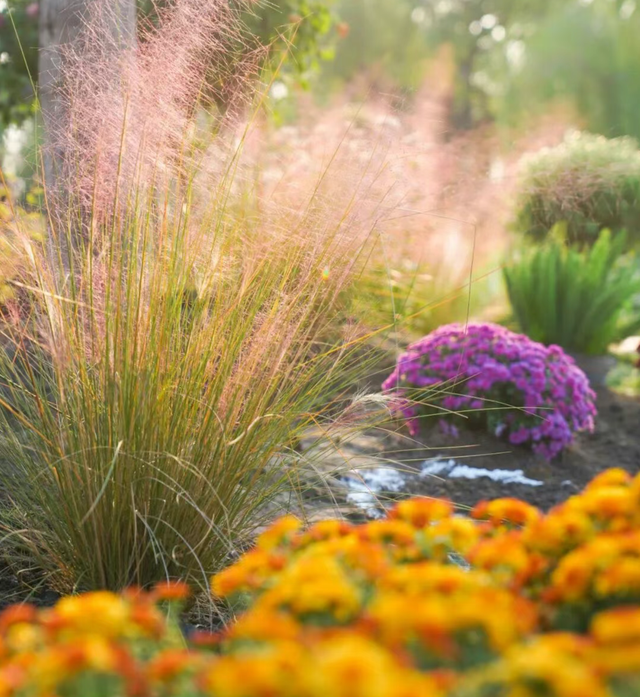 汉阳秋游隐藏副本：逛童话世界，刷个顶流花展