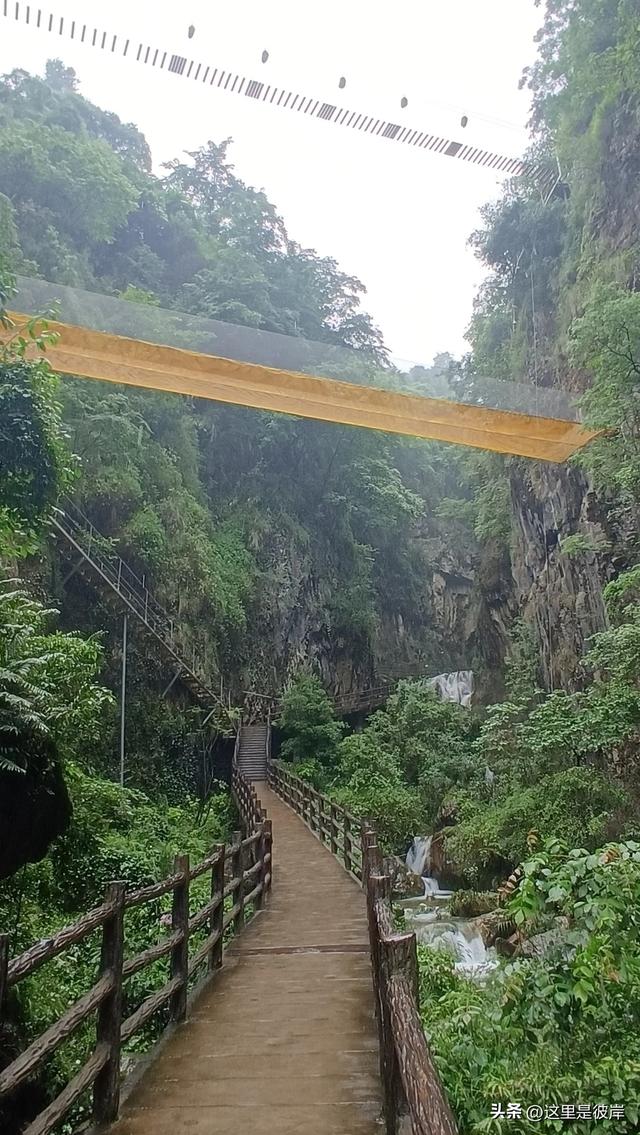 带着老爸乘宣威客运巴士去尼珠河大峡谷