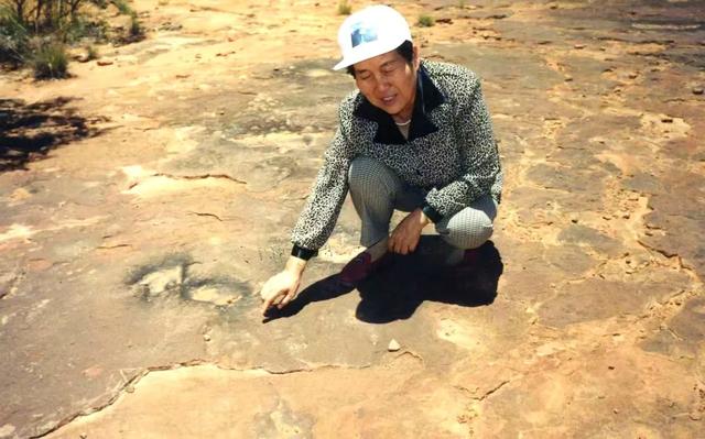 景观独特的瓦特贝格高原公园