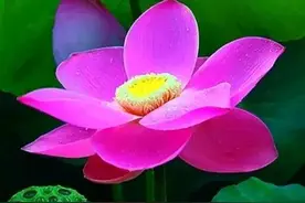 世上最长久的夫妻关系，靠的不是甜言蜜语，而是这三件事图片