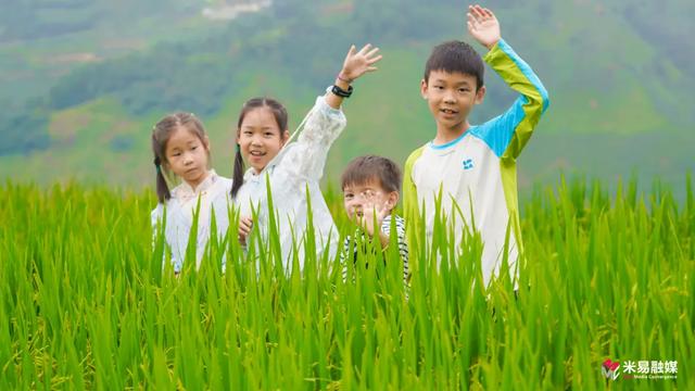 新山傈僳族乡：稻浪千层起 梯田万象新