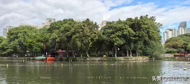 温州市区这条充满历史底蕴的古街道,文化遗迹众多,值得你来逛逛