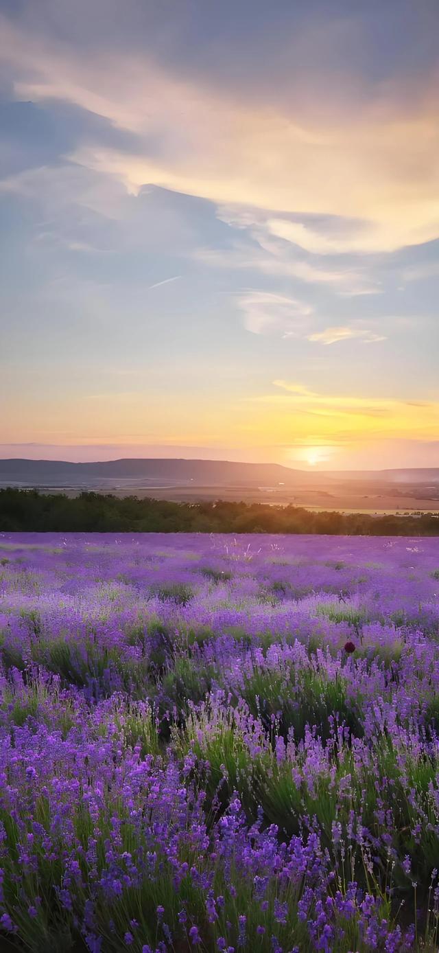 手机壁纸|治愈你的是风景，自然美景