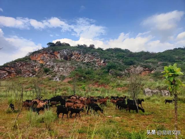 来一场短暂的城市逃离!盘龙这些登高好去处你知道吗?