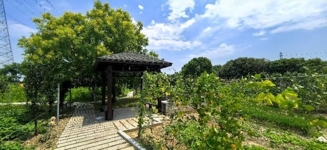 镜水生态庄园：在田园与胜景间，寻回生活本真